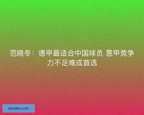 范晓冬：德甲最适合中国球员 意甲竞争力不足难成首选